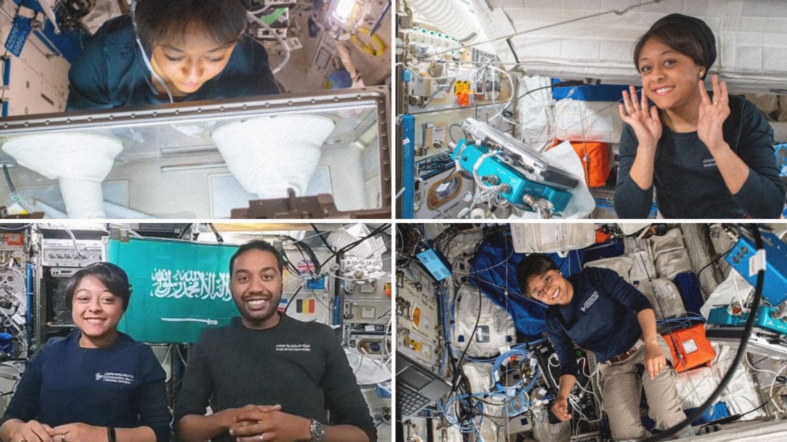 ريانة برناوي