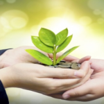 العمل الخيري