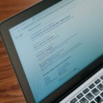 أنواع SEO وتحسين محركات البحث